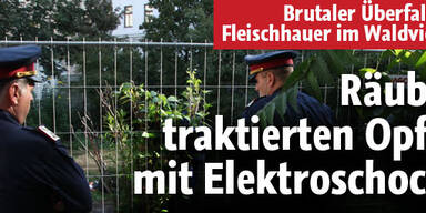 Diebe traktierten Opfer mit Elektroschocks