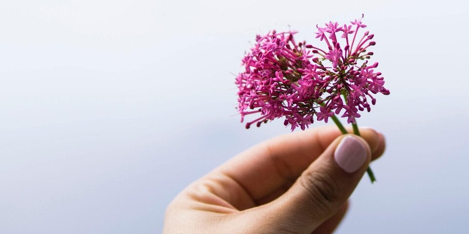 Was hilft bei Flugangst? 5 Tipps