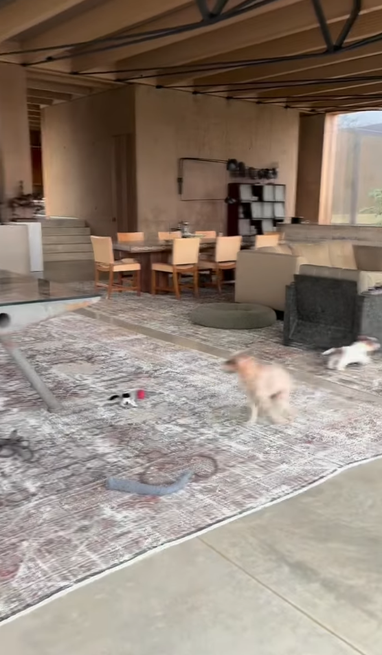 Zwischen Pferden und Perfektion: So wohnt Talkshow-Star Ellen DeGeneres in England