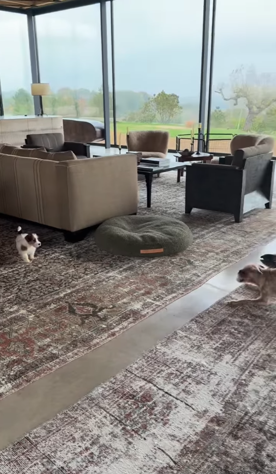 Zwischen Pferden und Perfektion: So wohnt Talkshow-Star Ellen DeGeneres in England