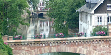 Paris geht gegen Regionalsprachen vor