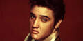 elvis446x231