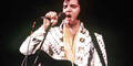 elvis