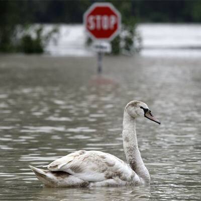 Land unter in Österreich