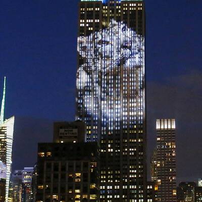 Tier-Licht-Show am Empire State Building