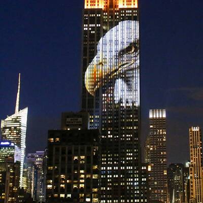 Tier-Licht-Show am Empire State Building