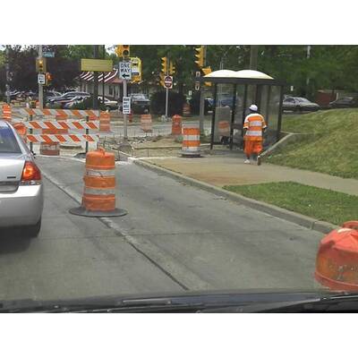 Diese Menschen sehen aus wie ihre Umgebung