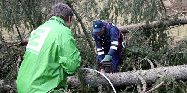 Orkan-Tief: Blackouts und Schäden im Süden
