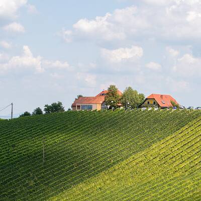 Karin Kneissl Hochzeitsfotos