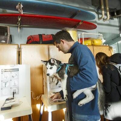 US-Wahl: Die besten Bilder des Tages