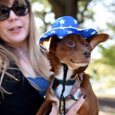 US-Wahl: Die besten Bilder des Tages