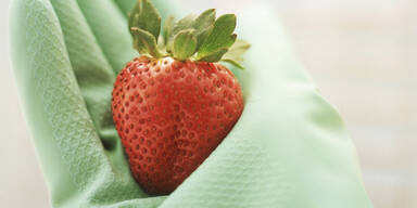 Erdbeere