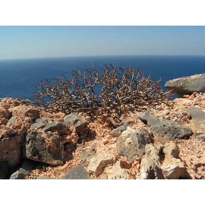 Die besten Urlaubsfotos