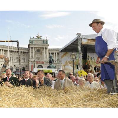 Erntedankfest in Wien