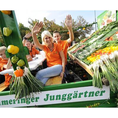 Erntedankfest in Wien