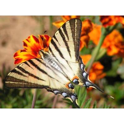 Die neuesten Urlaubsfotos