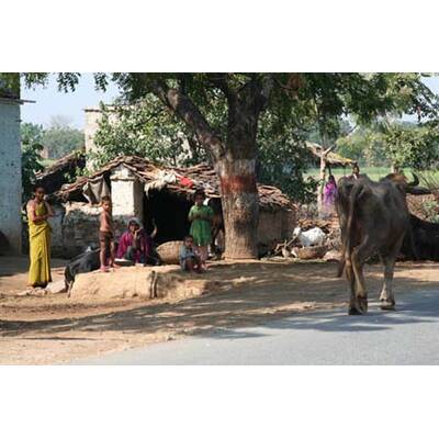 Die besten Urlaubsfotos