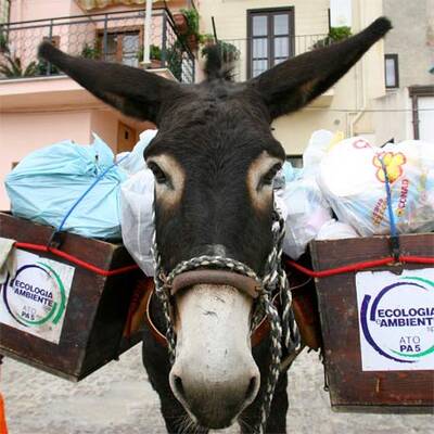 Esel statt Müllwagen auf Sizilien