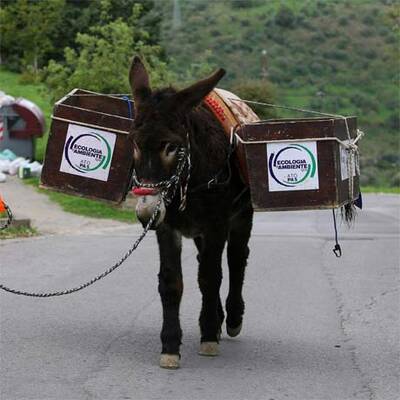 Esel statt Müllwagen auf Sizilien