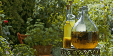 Warum jetzt alle Essig trinken