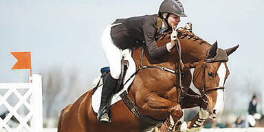 50.000€-Rennpferd ist 2. Todesopfer