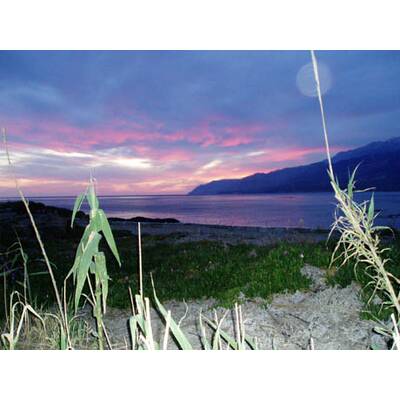 Die neuesten Urlaubsfotos