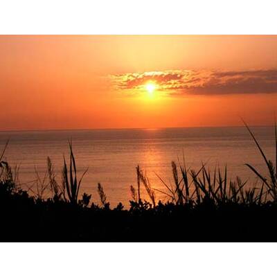 Die romantischsten Fotos