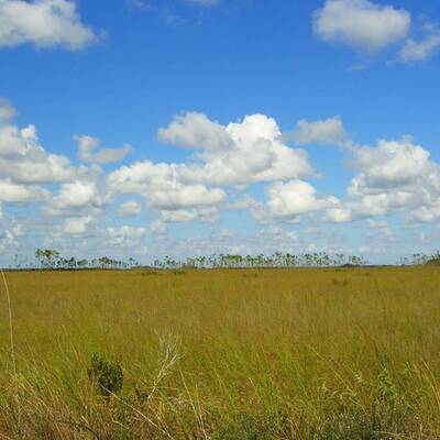 Everglades Nationalpark