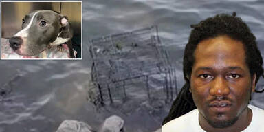 Mann wollte Welpen seiner Ex ertr&auml;nken: Haft