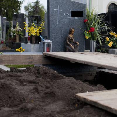 Exhumierung in Schwechat