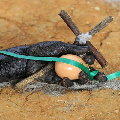 33-Jährige fühlt sich von Geistern besessen