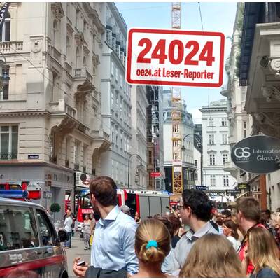 Ursache war ein Kurzschluss an einer 10.000-Volt-Leitung