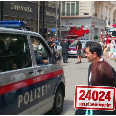 Ursache war ein Kurzschluss an einer 10.000-Volt-Leitung