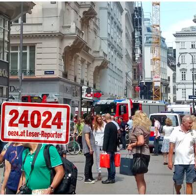 Ursache war ein Kurzschluss an einer 10.000-Volt-Leitung