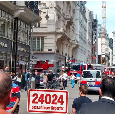 Ursache war ein Kurzschluss an einer 10.000-Volt-Leitung