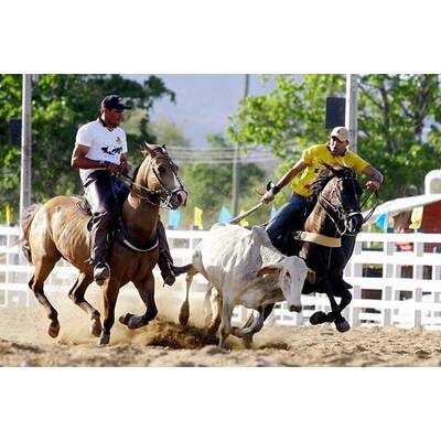 Ailton: Seine besten Bilder