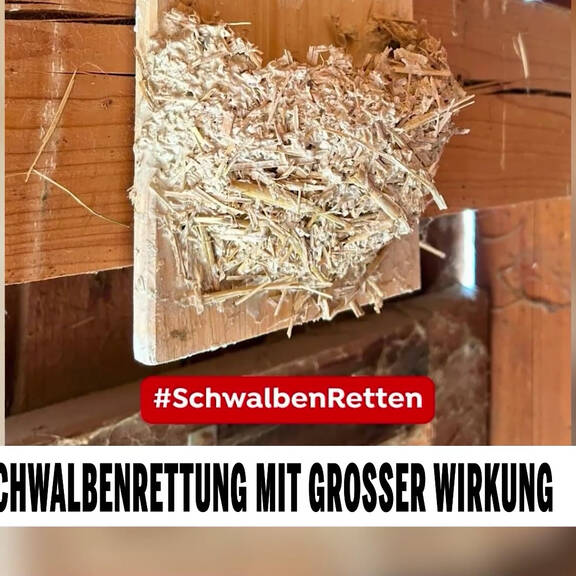 Unsere Tiere: Das große Tierschutz-Magazin (04.01.2026)