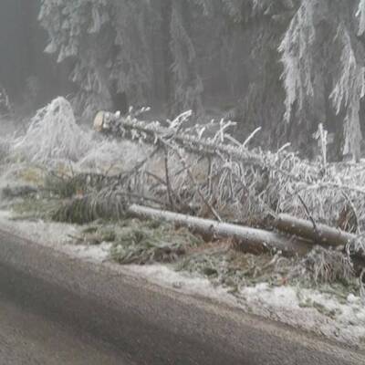 Ausnahmezustand in Ottenschlag
