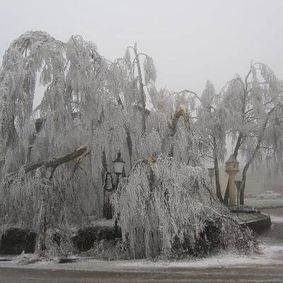 Ausnahmezustand in Ottenschlag