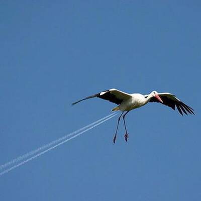 Wo denkst Du nur wieder hin?