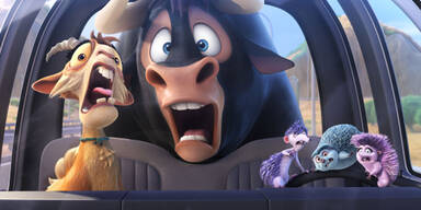 Gewinnen: FERDINAND– Geht STIERisch ab!