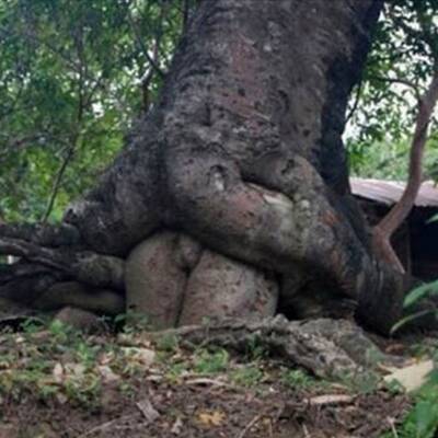 Wo denkst Du nur wieder hin?