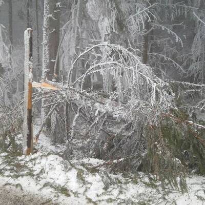 Ausnahmezustand in Ottenschlag