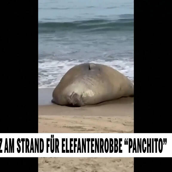 Unsere Tiere: Das große Tierschutz-Magazin