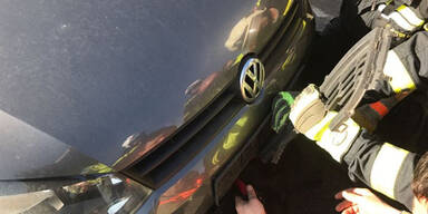 Oma rammt Hund: Tier blieb in Auto stecken und überlebt