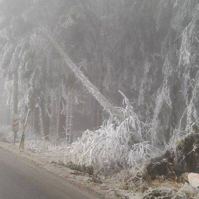 Ausnahmezustand in Ottenschlag