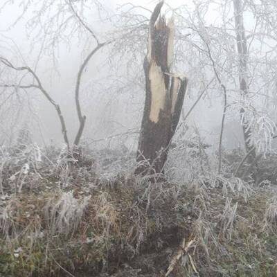Ausnahmezustand in Ottenschlag