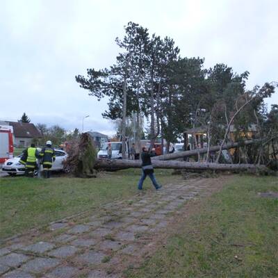 Im Bild: Die Florianijünger beim Aufräumen