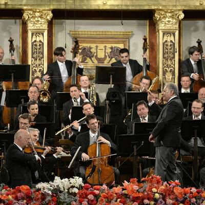 Traumhaftes Neujahrskonzert 2015