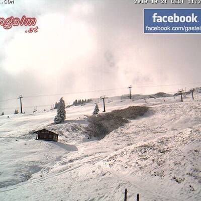 Der erste Wintergruß